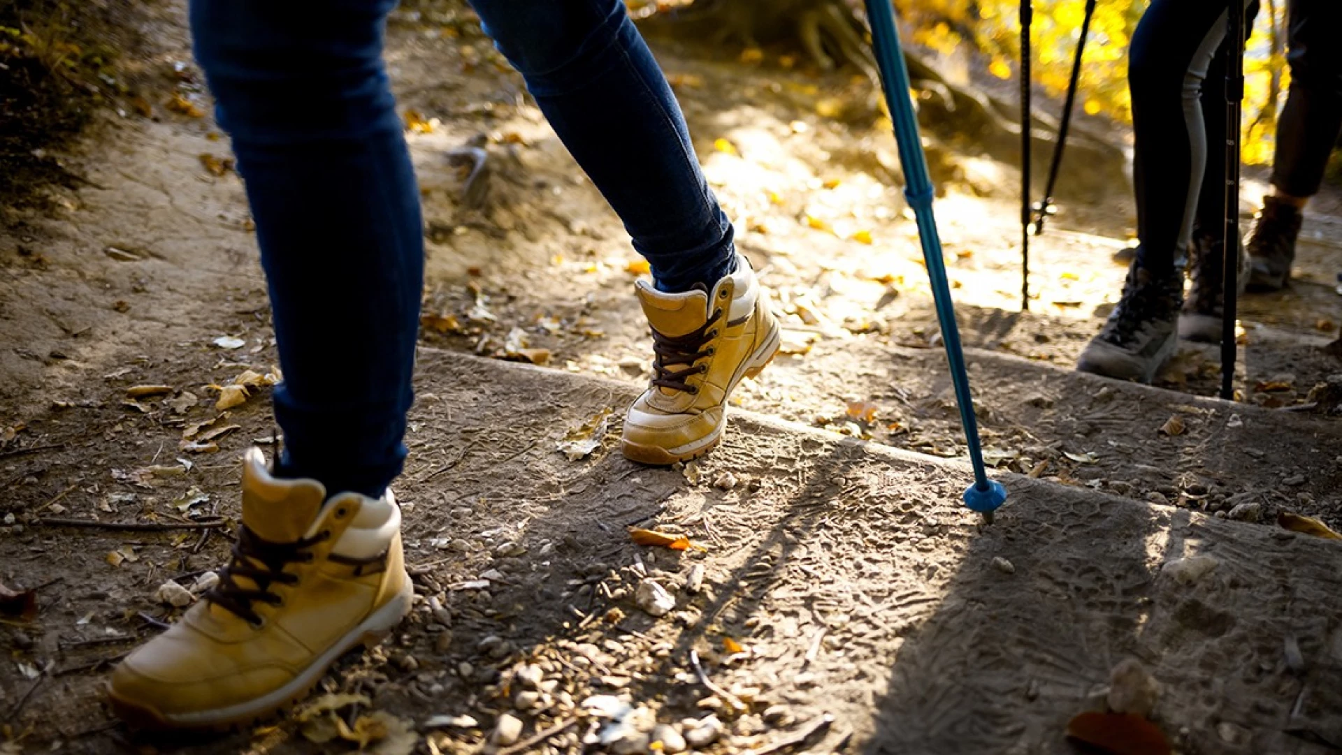 Caminatas Ecológicas